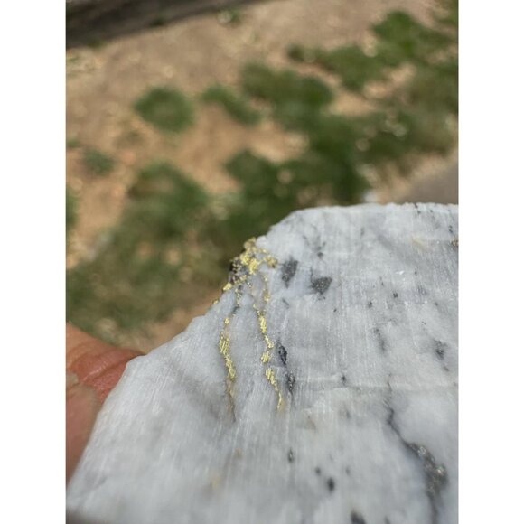 Gold in Quartz - 16 to 1 Mine - Alleghany, California Specimen - 23 grams - Picture 6 of 7